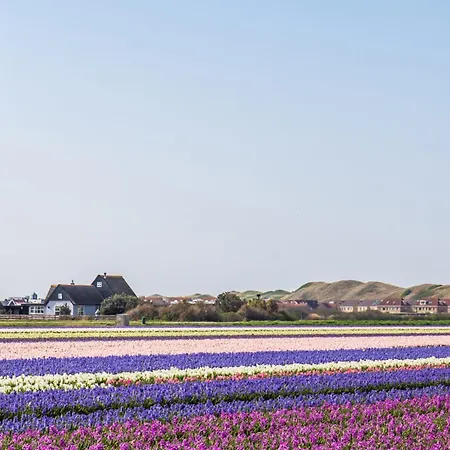 Holiday home De Kleine Kaap - 4 Personen - Groote Keeten Callantsoog